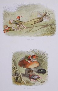 Cruel Elves, and The Elf-King Asleep, illustrations from 