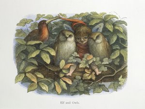 Elf and owls