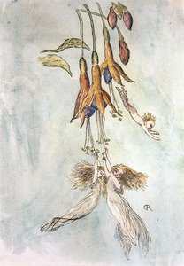 Feasting Amongst Fuscias by Richard Doyle