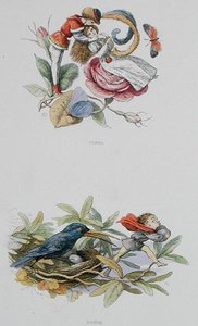 Flirting, and Stealing, Illustrations from 