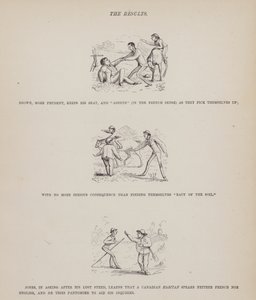 Page from The American Tour of Messrs Brown, Jones and Robinson (engraving)