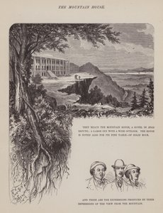 Page from The American Tour of Messrs Brown, Jones and Robinson (engraving)