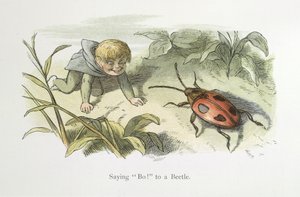 Saying Boo! to a Beetle