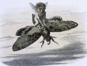 An elf riding a butterfly. Illustration by Richard Doyle from 