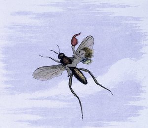 An elf on the back of an insect. Illustration by Richard Doyle from 
