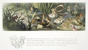 Water lilies and water fairies by Richard Doyle