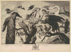 A Concert of Birds