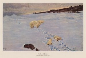 Polar Bear and Cubs