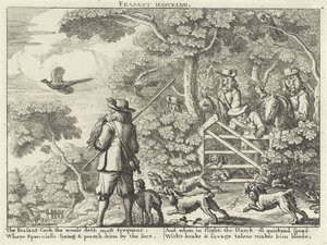 Pheasant Hawking (title on object) (series title) by Richard Gaywood (possibly)