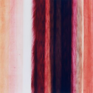 Stripe X, 2005