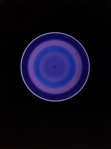 Untitled, 2004 by Richard Green