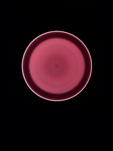 Untitled, 2004 by Richard Green
