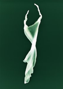 Untitled by Richard Green