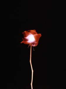 Untitled, 2007