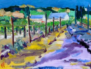 Vineyard Outside Santa Rosa