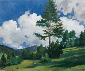 Motif near Toblach by Richard Harlfinger