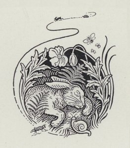 The Hare And The Tortoise by Richard Heighway