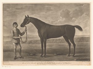 Racehorse with jockey
