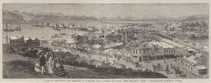 Part of the Town and Harbour of Dunedin, the Capital of Otago, New Zealand