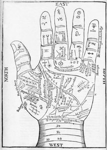 Illustration of a Hand with Chiromantic Lines and Details