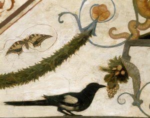 R. Ghirlandaio, Grotesque, Bird