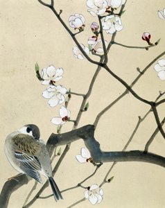 Bird by Riu Chim