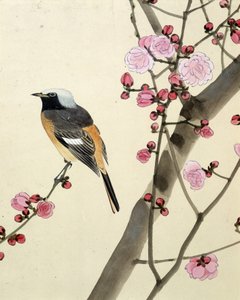 Bird by Riu Chim