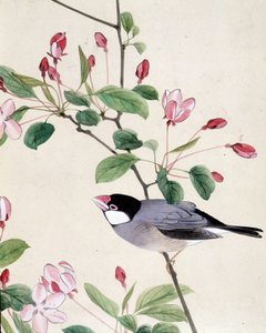 Bird - Japanese drawing by Riou Chim, late 19th century by Riu Chim