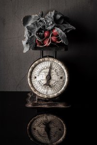 Vintage Scale with Radishes by Rob Ryan
