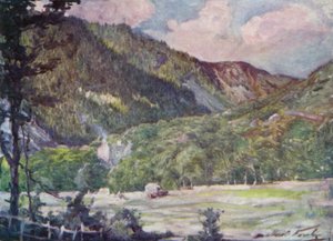 A Hayfield near Portmadoc