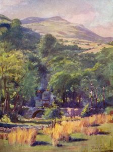 Duffws Mountain