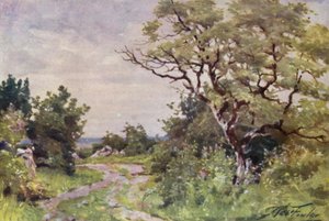 Field Path, near Llanrug by Robert (after) Fowler