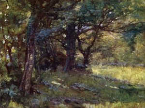 In the Woods, Berwyn