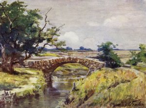 Old Roman Bridge, near Swansea