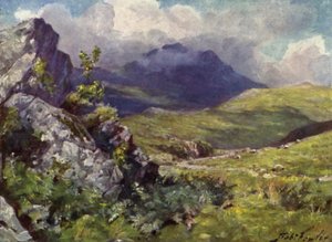 View of Moelwyn