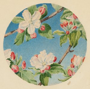 Apple Blossoms, c.1869