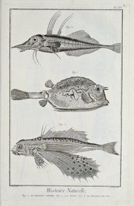 Illustration from 