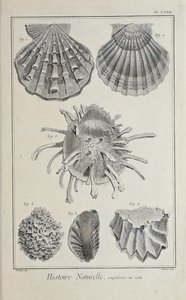 Illustration from 