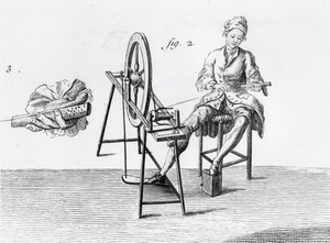 Rustic economics, cotton, from Encyclopedia by Denis Diderot