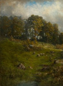 A Hillside Pasture