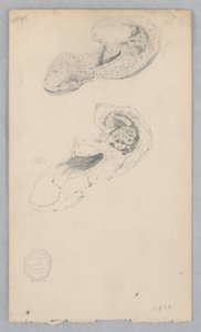 Shoe by Robert Frederick Blum