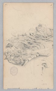 Tiger Skin Rug by Robert Frederick Blum