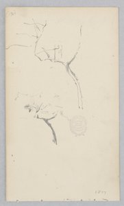 Tree by Robert Frederick Blum
