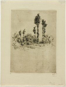 Unfinished Landscape