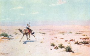 A Desert Courier