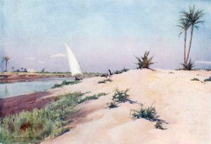 On the Ismailia Canal, Near Tel-el-Kebir