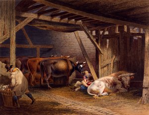 Cow shed