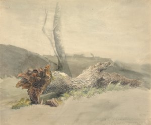 The Fallen Tree by Robert Hills