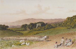 The Turnip Field by Robert Hills