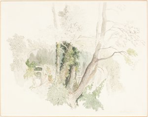 Trees at Beddington by Robert Hills